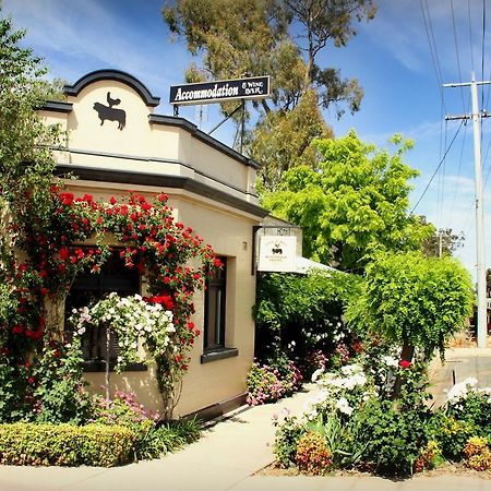 Cocknbull Boutique Hotel Echuca Dış mekan fotoğraf